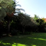 Houses for sale in Savyon_005